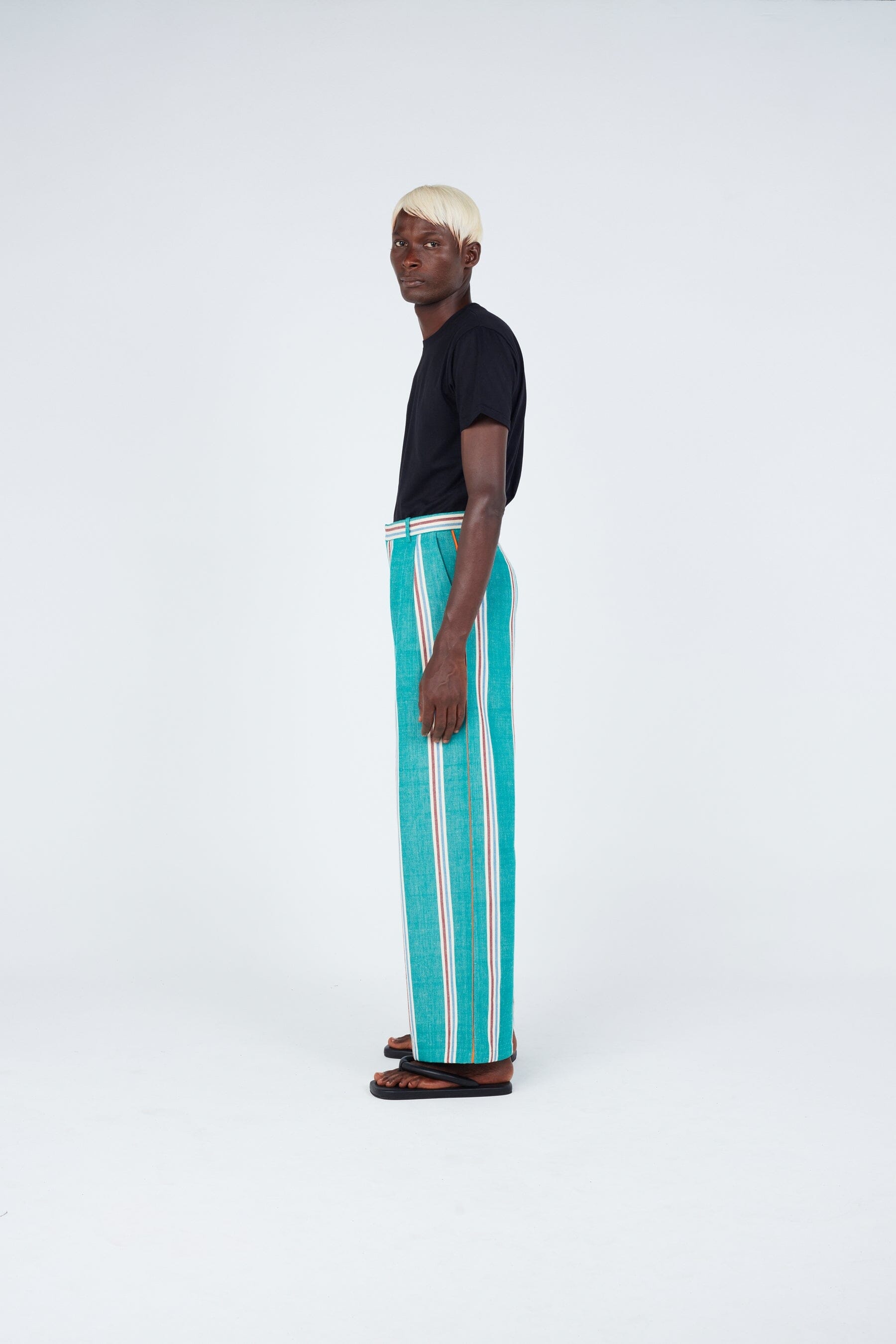 Stripe Seam Classic Wide Pants • Green New LaurenceAirline 